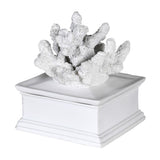 Faux White Coral Square Trinket Box Meadow Lane