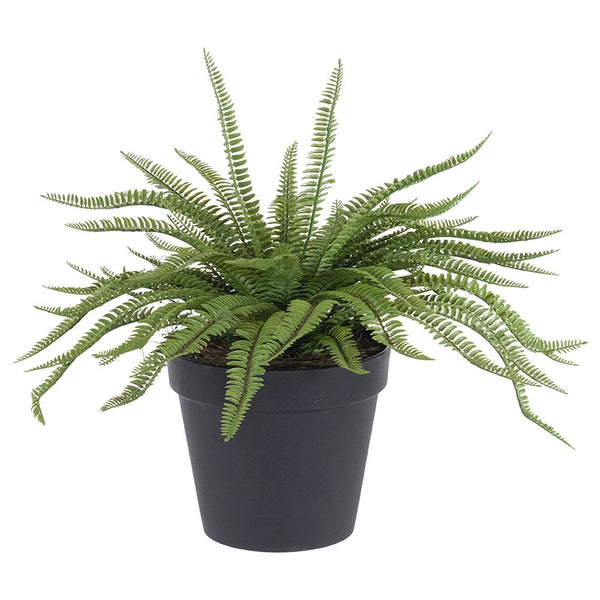 POTTED FERN 43cm