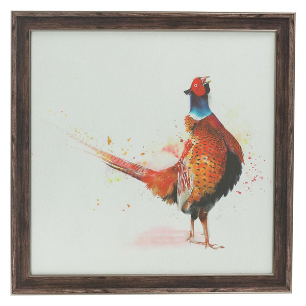 STANDING PHEASANT FRAMED PICTURE 50X50CM