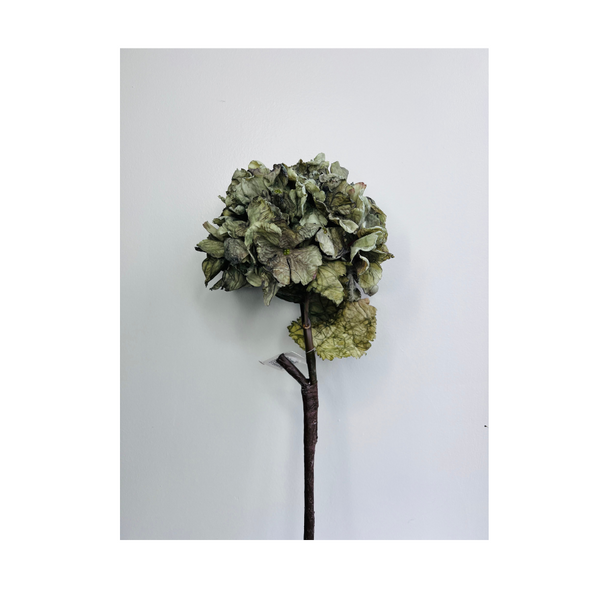 Silk Stem Hydrangea Ruffled L52cm Green