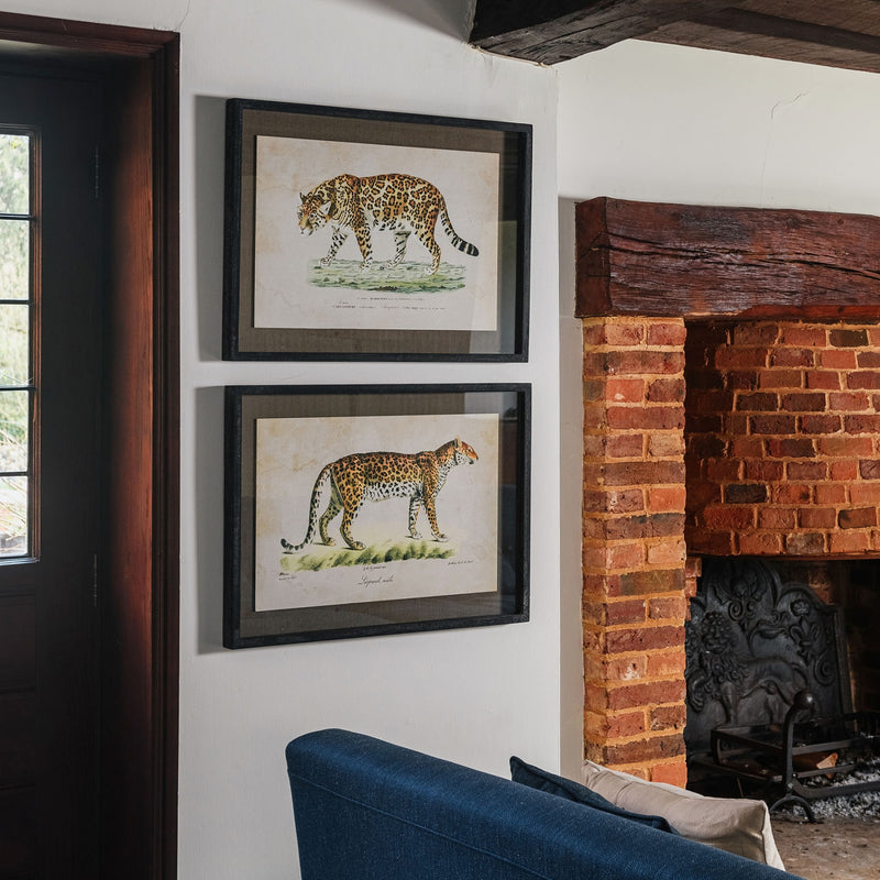 Brookby Set of 2 Framed Leopards Wall Art