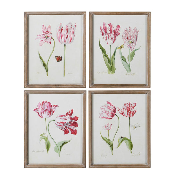 Set of Four Framed Fuschia Tupina Pictures