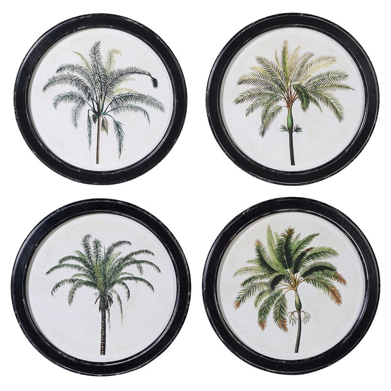 Set of 4 Round Palm Tree Pictures - Meadow Lane Ardee