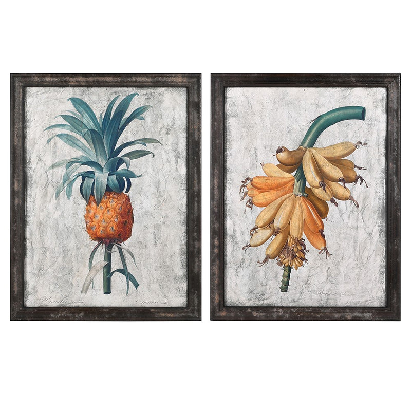 Set of 2 Botanical Framed Prints - Meadow Lane Ardee