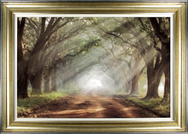 Evergreen Avenue By Mike Jones - Meadow Lane Ardee