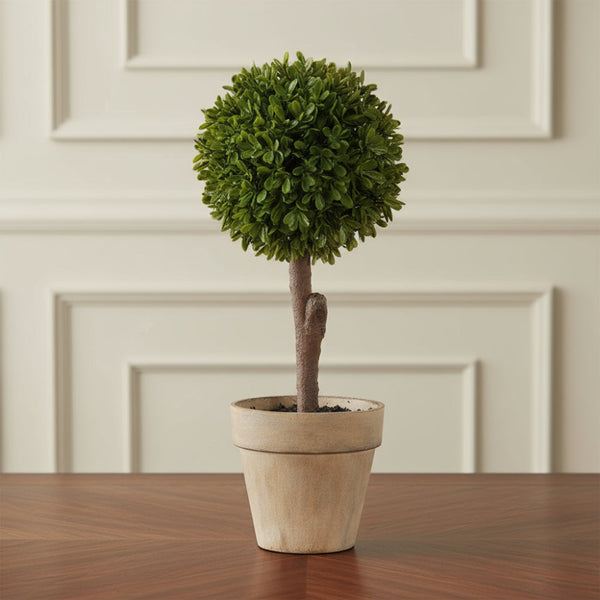 Green Miniature Boxwood Ball in Brown Pot - Meadow Lane Ardee