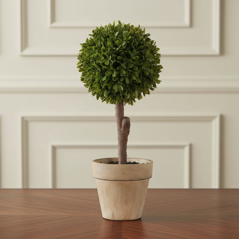Green Miniature Boxwood Ball in Brown Pot - Meadow Lane Ardee