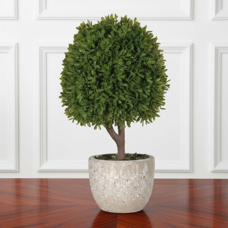 Miniature Green Bushton Ball in Stone Pot - meadow Lane 