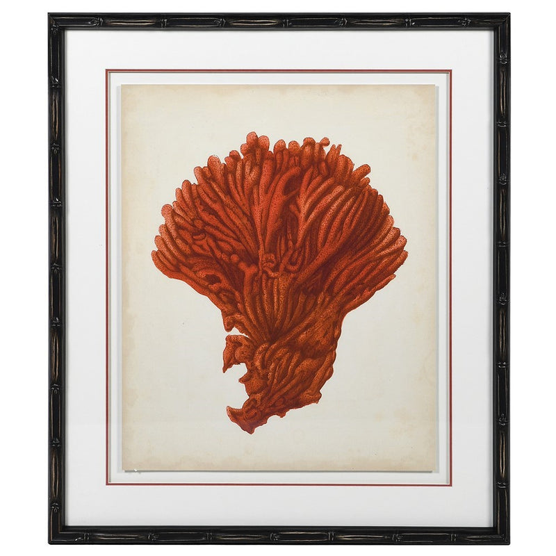 Orange Coral Picture - Meadow Lane Ardee