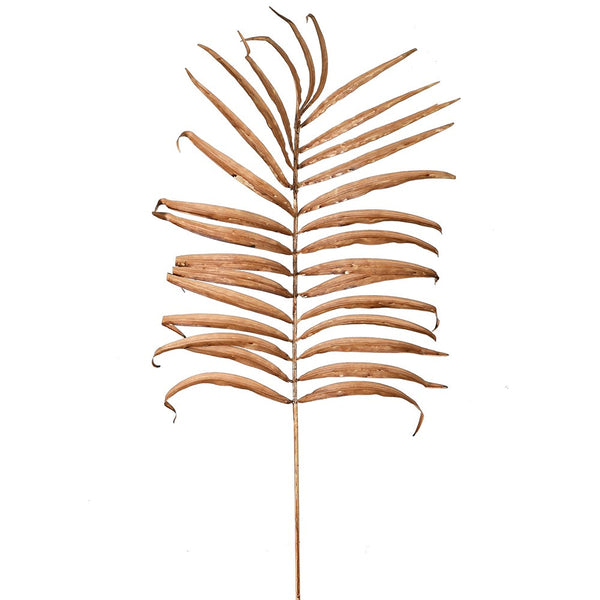 Natural palm leaves stem - Meadow Lane Ardee
