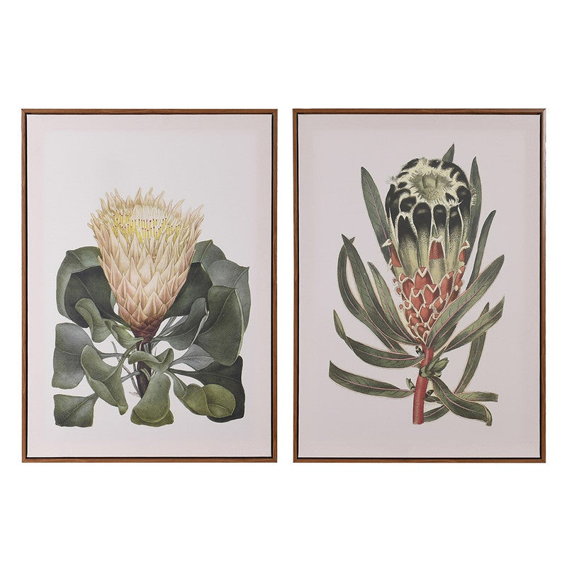 Set of 2 Protea Pictures for Artistic Expression