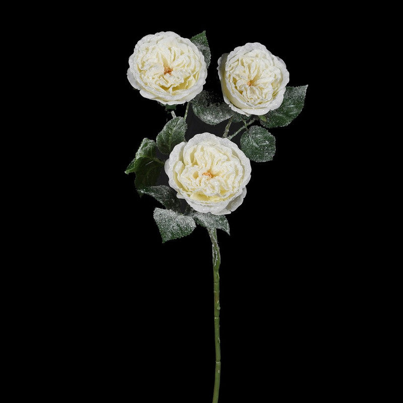 Cream Rose Spray with Natural Beauty