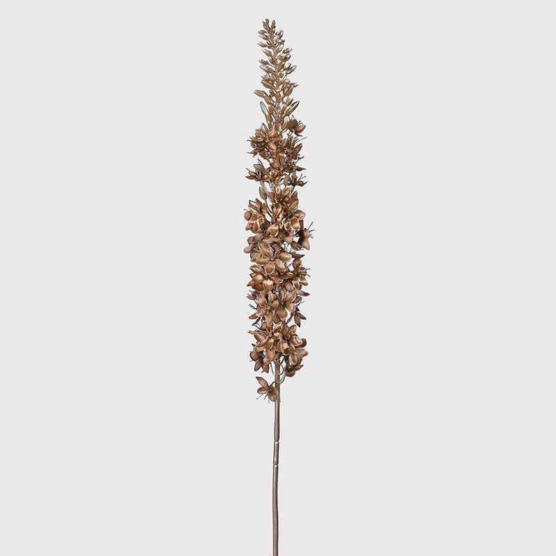 Copper Eremurus Spray for Rustic Charm