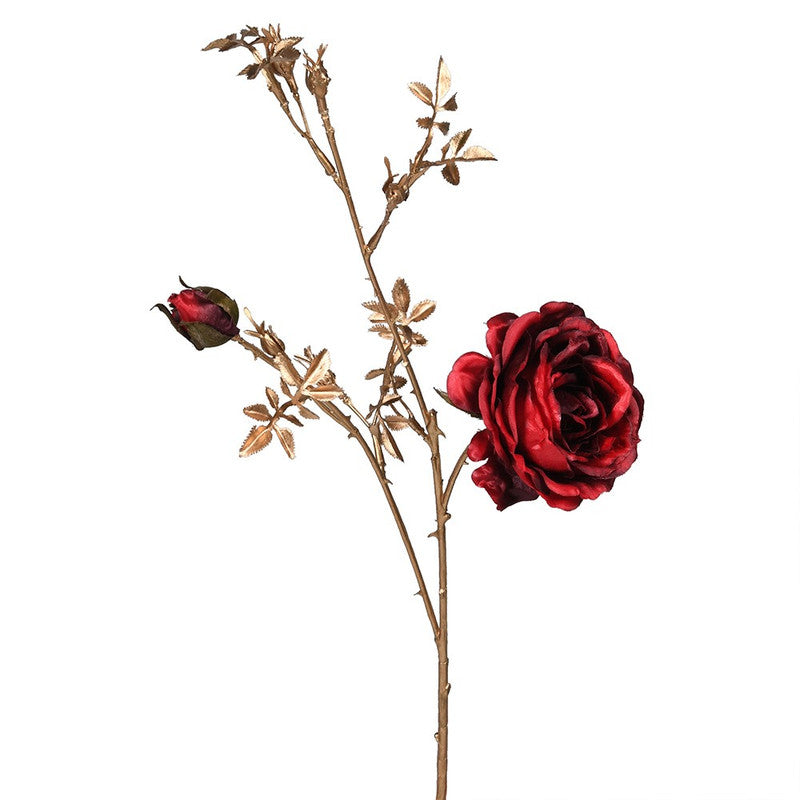 Red Rose with Gold Stem for Elegant Display