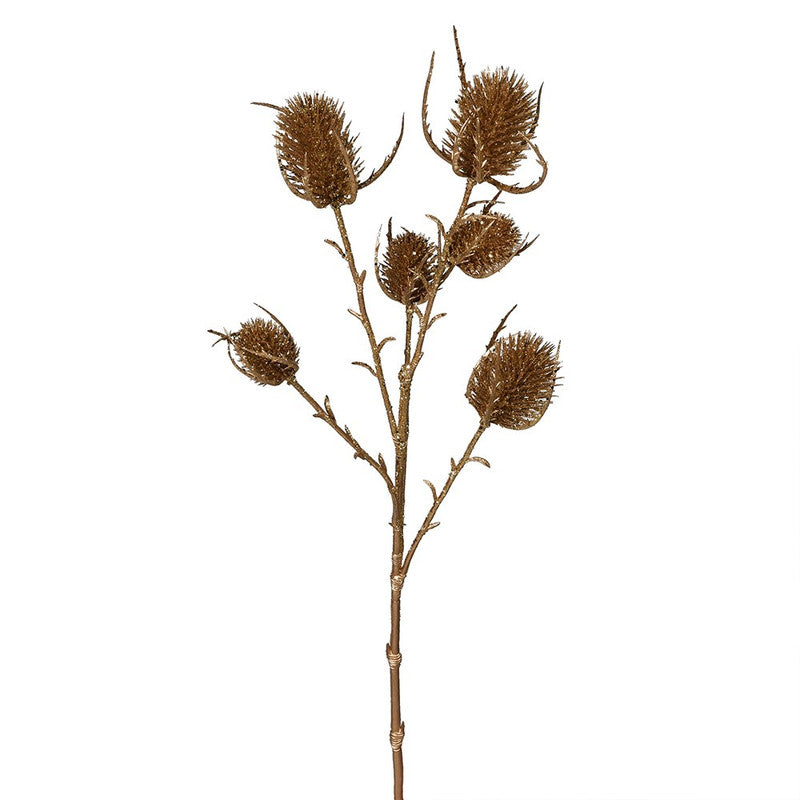 Gold Eryngo Spray for Rustic Appeal