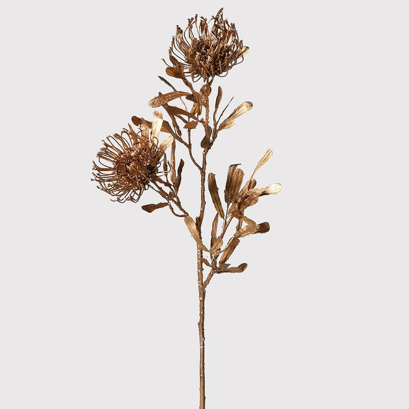 Gold Needle Protea Stem for Natural Elegance