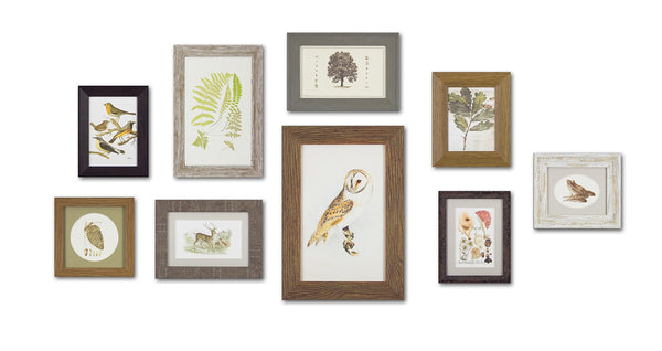 The Woodland Collection - Meadow Lane Ardee