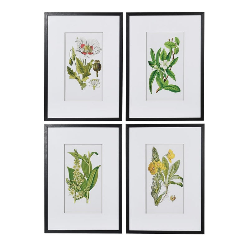 Set of Four Classical Garden Floral Pictures - Meadow Lane Ardee